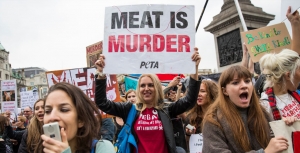 The Cult of Violent Vegan Vigilantism