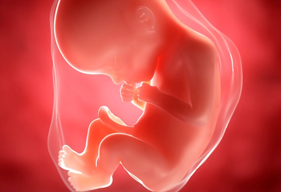 Late-Term Abortion and Other Atrocities